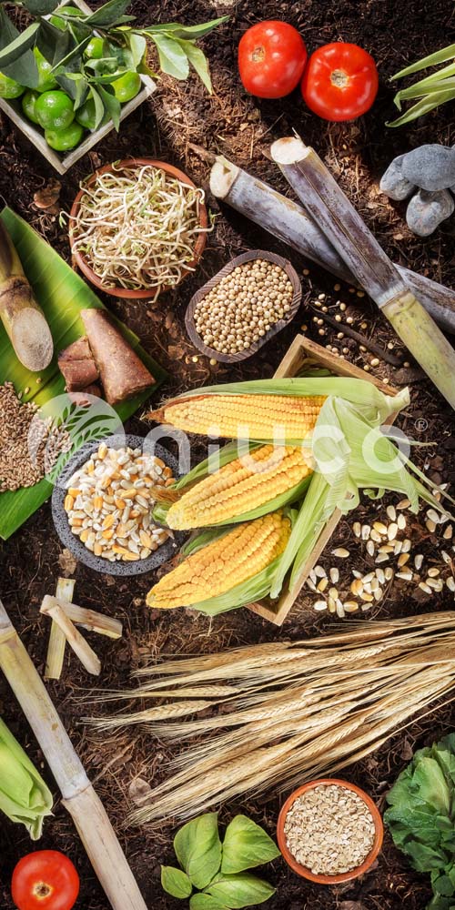 Orígenes naturales